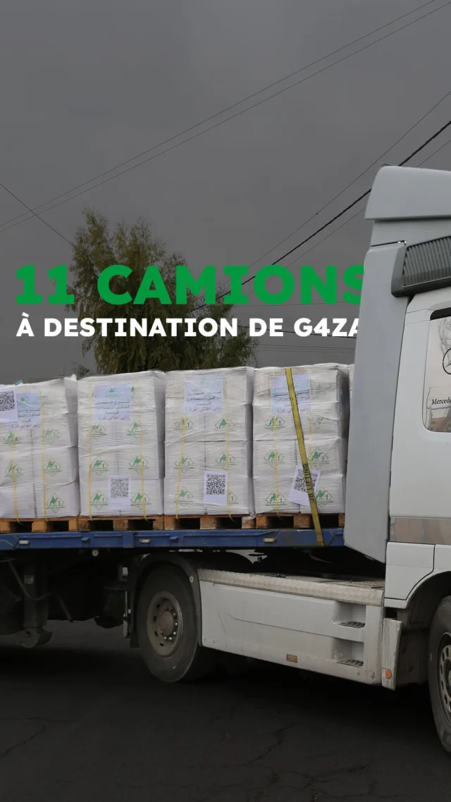 ⚠️ Nous expédions 11 poids lourds pour G4za ⚠️
 
À Amman, en Jordanie, nos équipes s’activent pour charger 11 poids lourds d’aide d’urgence destinés aux populations de G4za. Grâce à votre générosité, ces camions transporteront :
 📦 du lait en poudre pour bébé
 🥫 700 colis alimentaires, dont 500 adaptés sans gluten. Une vraie nécessité !
 💊 des médicaments essentiels.
 
🟢 Agissez maintenant et devenez donateur. Ensemble, continuons à faire la différence. Merci pour votre incroyable soutien ! 
 
#CaravanesSolidaires #nousensemble #Aidehumanitaire