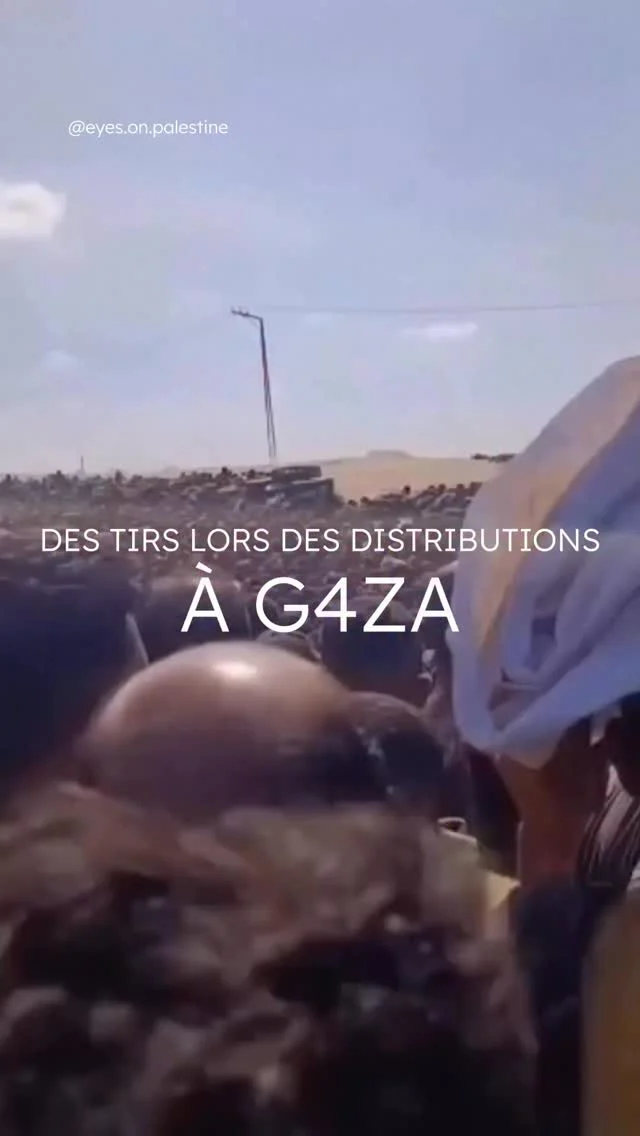 📍 Rafah, G@za – Centre d’aide ciblé
 Une vidéo publiée le 14 juillet montre des tirs aux abords d’un centre d’aide alimentaire de la G@za Humanitarian Foundation (GHF), à Rafah, alors qu’une foule immense attendait pour recevoir de la nourriture.
🎥 La date exacte de l’enregistrement reste incertaine, mais des témoins affirment qu’elle remonte au 12 juillet — jour où 31 P@lestiniens ont été t*és alors qu’ils allaient chercher de la nourriture.
Les FOI ont reconnu avoir tiré des coups de semonce contre des personnes jugées suspectes, affirmant vouloir les dissuader de s’approcher.
 🛑 Une fois encore, les civils paient le prix fort en tentant simplement de se nourrir.
Crédit : @eyesonpalestine
#CaravanesSolidaires #NousEnsemble #freepalestine
