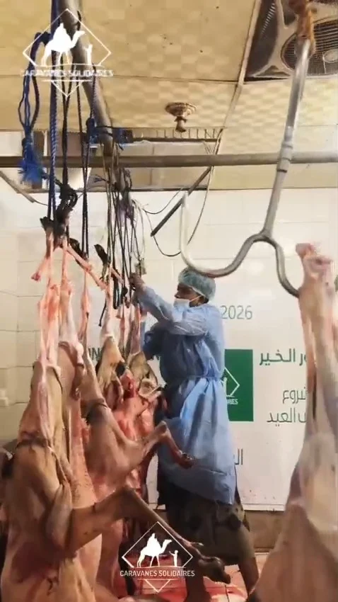 Projet des Sacrifices d’Aïd al-Adha au Y€men — Ponts du Bien 2026 🇾🇪
Grâce à vos dons et à votre soutien précieux, notre équipe sur le terrain a mené à bien la distribution de la viande de l’Aïd aux familles dans le besoin au Y€men.
Parce que l’Aïd est aussi synonyme de joie pour les plus petits, des cadeaux et des ballons ont été distribués aux enfants pour dessiner de superbes sourires sur leurs visages et leur apporter un moment de bonheur inoubliable. 🎈✨
Un immense merci à tous nos généreux donateurs qui rendent ces actions possibles. Ensemble, continuons à construire des Ponts du Bien. 🤝❤️
#AidAlAdha2026 #PontsDuBien #CaravanesSolidaires 
#nousrnsemble